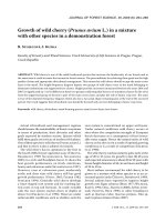 Báo cáo lâm nghiệp: 