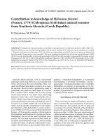 Báo cáo lâm nghiệp: 