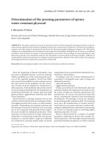 Báo cáo lâm nghiệp: 