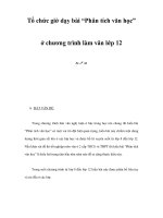 Tổ chức giờ dạy bài “Phân tích văn học”ở chương trình làm văn lớp 12 doc