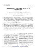 Báo cáo lâm nghiệp: 