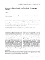 Báo cáo lâm nghiệp: 