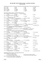 ĐỀ THI THỬ TUYỂN SINH ĐẠI HỌC, CAO ĐẲNG NĂM 2011 (Đề thi thử 001) pps