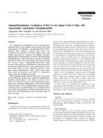 Báo cáo khoa học: 