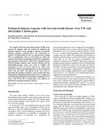 Báo cáo khoa học: 