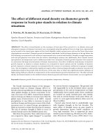 Báo cáo lâm nghiệp: 