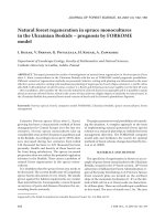 Báo cáo lâm nghiệp: 