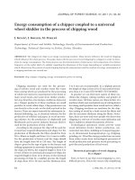 Báo cáo lâm nghiệp: 