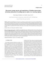 Báo cáo lâm nghiệp: 