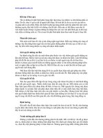 PHÁT TRIỂN KỸ NĂNG LÃNH ĐẠO TRONG CÔNG TÁC QUẢN TRỊ - 4 ppt