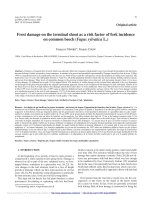 Báo cáo lâm nghiệp: 