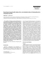 Báo cáo khoa học: 