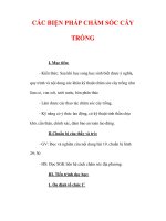 Giáo án Công nghệ lớp 7 : Tên bài dạy : CÁC BIỆN PHÁP CHĂM SÓC CÂY TRỒNG docx