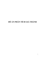 ĐỒ ÁN PHÂN TÍCH GIÁ THÀNH.
