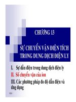 SỰ CHUYỄN VẬN ĐIỆN TÍCH TRONG DUNG DỊCH ĐIỆN LY pot