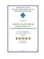 Ảnh hưởng của PH và nhiệt độ lên hoạt tính xúc tác của enzyme bromelain trong quả dứa