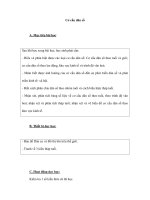 Cơ cấu dân số pps