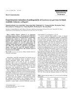 Báo cáo khoa học: 