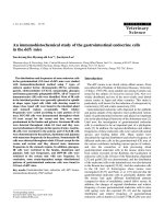 Báo cáo khoa học: 