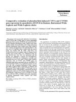 Báo cáo khoa học: 