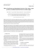 Báo cáo lâm nghiệp: 