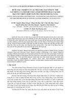 BƯỚC ĐẦU NGHIÊN CỨU SỰ PHÂN BỐ, TẬP TÍNH TƢ THẾ VẬN ĐỘNG CỦA HỌ KHỈ VOỌC (CERCOPITHECIDAE) TẠI KHU BẢO TỒN THIÊN NHIÊN SƠN TRÀ THÀNH PHỐ ĐÀ NẴNG ppsx