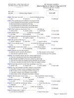 Kiểm tra Định kỳ số 1 Học kỳ 2 Tiếng Anh 12 CB - Mã đề: 487 docx