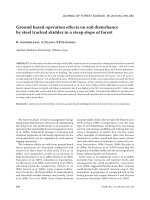 Báo cáo lâm nghiệp: 