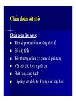 Bài giảng Các bệnh nhiễm rickettsiae (rickettsioses) part 7 docx