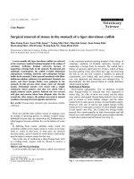 Báo cáo khoa học: 