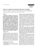 Báo cáo khoa học: 