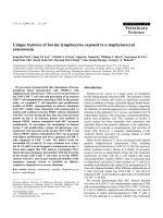 Báo cáo khoa học: 