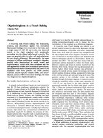 Báo cáo khoa học: 