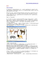 Bài 17 Quy định trang in ppt