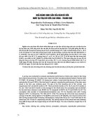 Báo cáo nông nghiệp: 