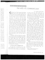 Common law doc