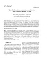 Báo cáo lâm nghiệp: 