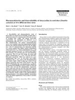 Báo cáo khoa học: 