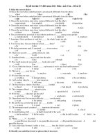 Bộ đề thi thử TN-ĐH năm 2011 Môn: Anh Văn – Đề số 23 pot