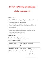 Giáo án môn Toán lớp 7 : Tên bài dạy : LUYỆN TẬP trường hợp bằng nhau của hai tam giác c-c-c pot