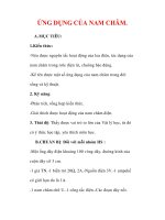 Giáo án Vật lý lớp 9 : Tên bài dạy : ỨNG DỤNG CỦA NAM CHÂM. ppsx