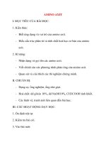 Giáo án Hóa Học lớp 12: AMINO AXIT ppsx