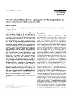 Báo cáo khoa học: 