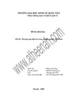 Thương mại điện tử trong doanh nghiệp việt nam