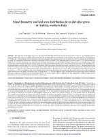 Báo cáo lâm nghiệp: 