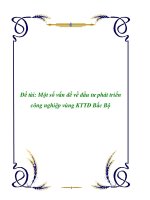 Đề tài: Một số vấn đề về đầu tư phát triển công nghiệp vùng KTTĐ Bắc Bộ pdf