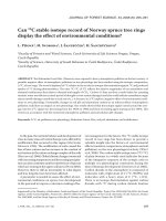 Báo cáo lâm nghiệp: 