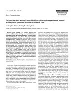 Báo cáo khoa học: 