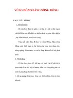 Giáo án Địa lý lớp 9 : Tên bài dạy : VÙNG ĐỒNG BẰNG SÔNG HỒNG doc