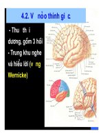 Bài giảng thần kinh thính giác part 3 pot